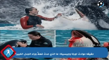 حقيقة حوادث أوركا وجيسيكا: ما الذي حدث فعلاً وراء الجدل الكبير؟